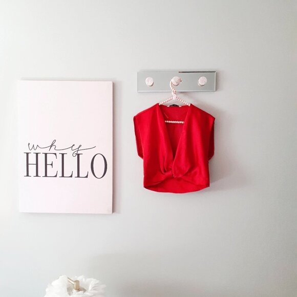 NWOT Zara red satin-effect linen blend plunge neckline sleeveless crop top, XS - Picture 9 of 13